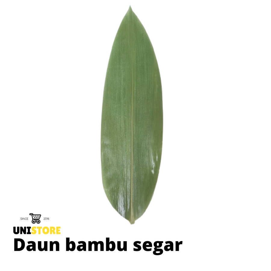 

Daun Bambu Segar Pilihan herbal dan bungkus bacang 500gr