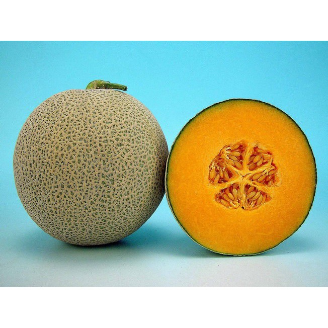 2 biji benih Buah Melon bangkok bulat daging orange F1 import bibit tanaman bisa hidroponik