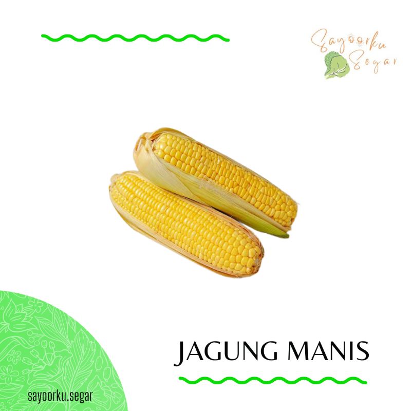 

KIRIM BESOK Jagung Manis 1pack