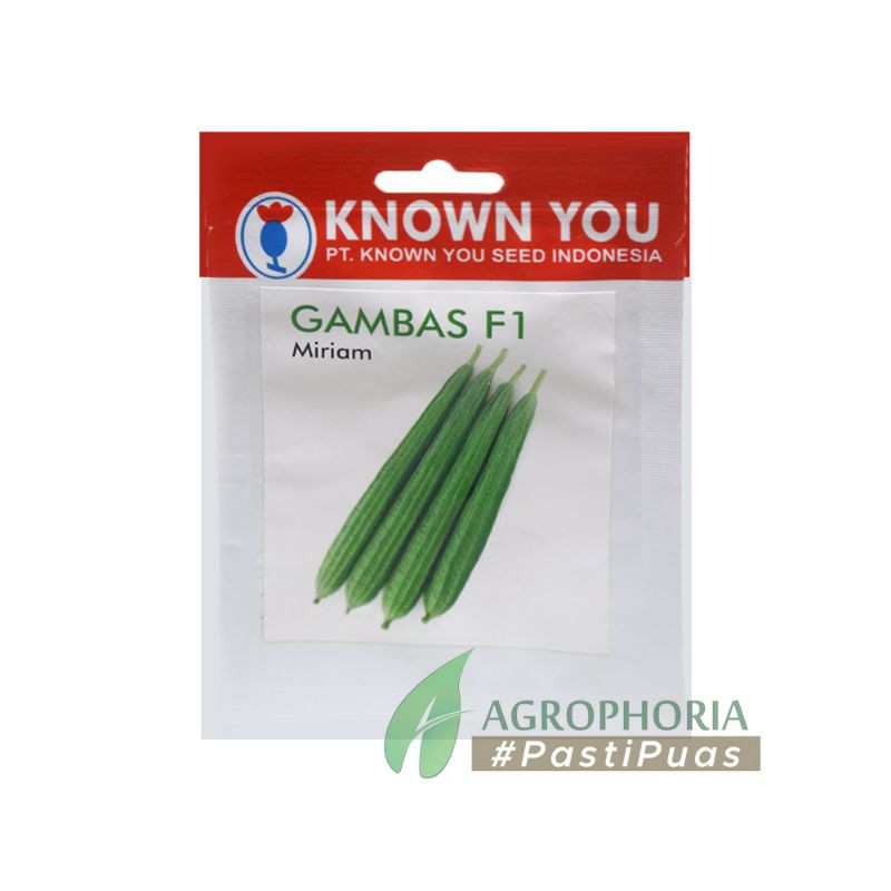 Benih Gambas Miriam F1 / Oyong 6 Seeds - Known You Seed