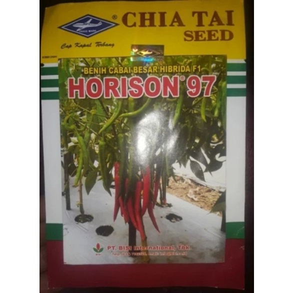 Benih CABE BESAR HORISON 97/10 GRAM-PT BISI INTETNATIONAL