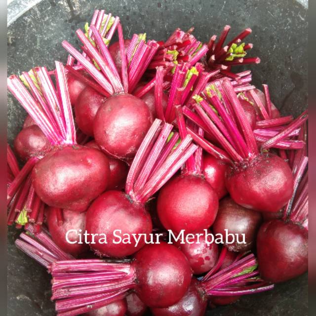 

Beetroot/ buah bit Penambah Darah per 1 kg