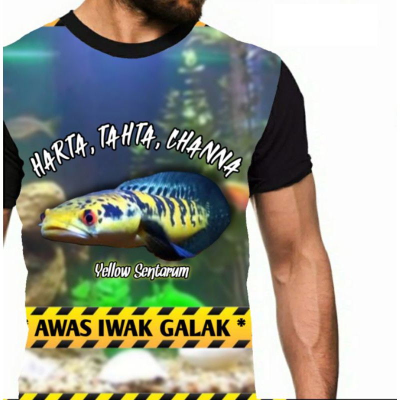 Kaos Harta Tahta Chana Channa maru ys yellow Sentarum snake head fishikan predator awas iwak galak