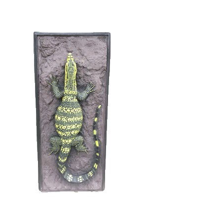 Varanus Salvator Walldecor Crystallee