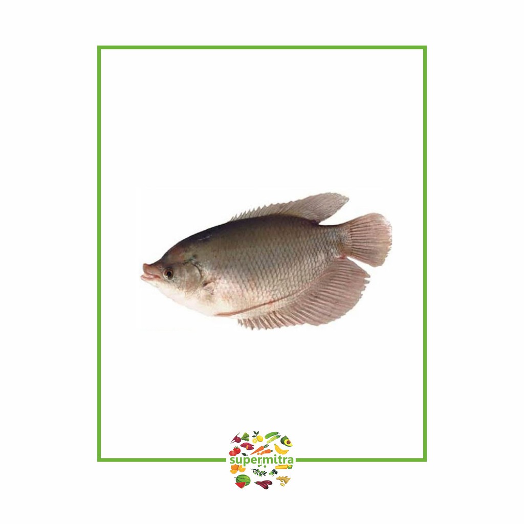 

Ikan mujair fresh ( 1kg )