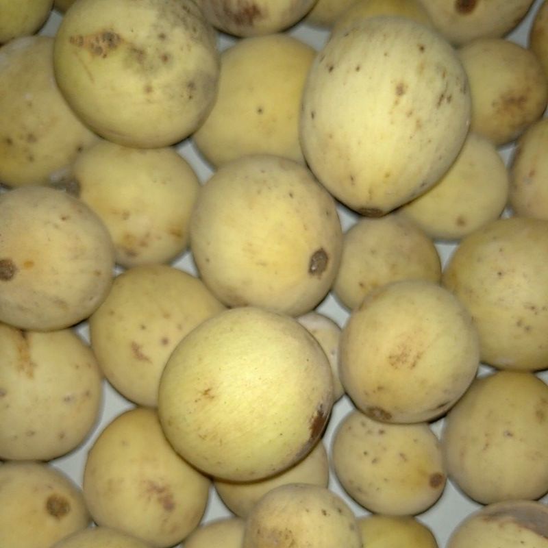 

Buah Duku Dukuh Langsat segar minim order 2 kg@ kilogram