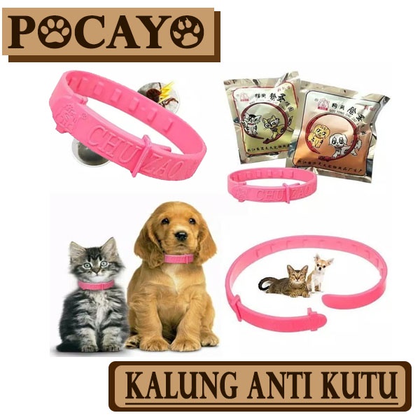 Kalung Anti Kutu - Kucing/Anjing