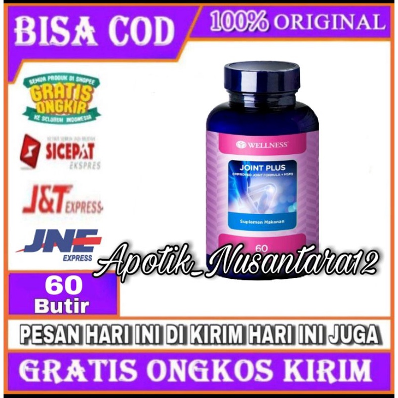 WELLNES JOINT PLUS IMPROVED JOINT FORMULA MSM GLUCOSAMINE