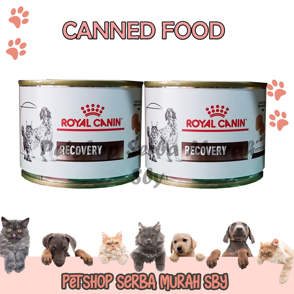 Royal Canin Recovery Canned Wet Food 195gr - Makanan Basah Kucing &amp; Anjing