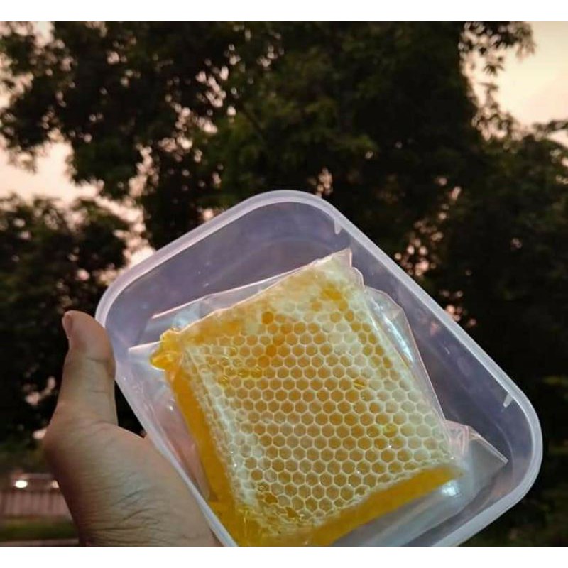 

MADU SARANG (melifera)