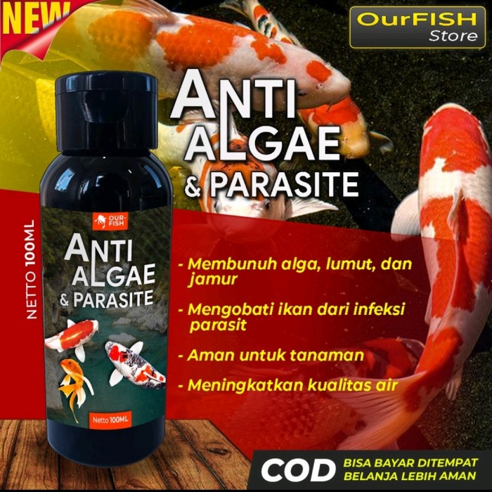 OURFISH Anti Algae and Parastie - Alga Remover Kolam dan Aquarium 100ML