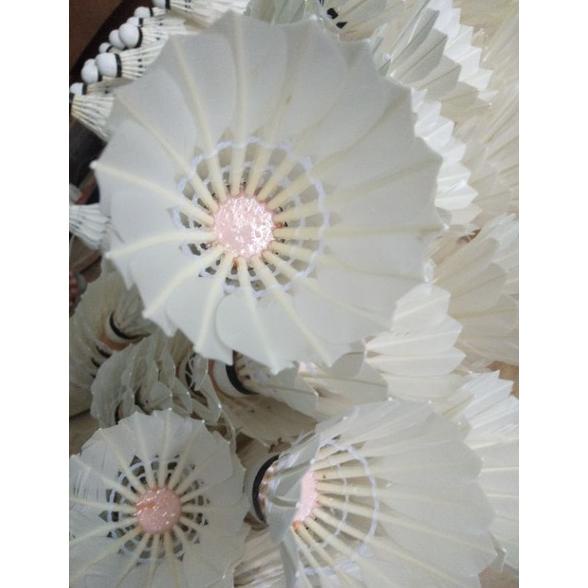 Shuttlecock Premium Polos