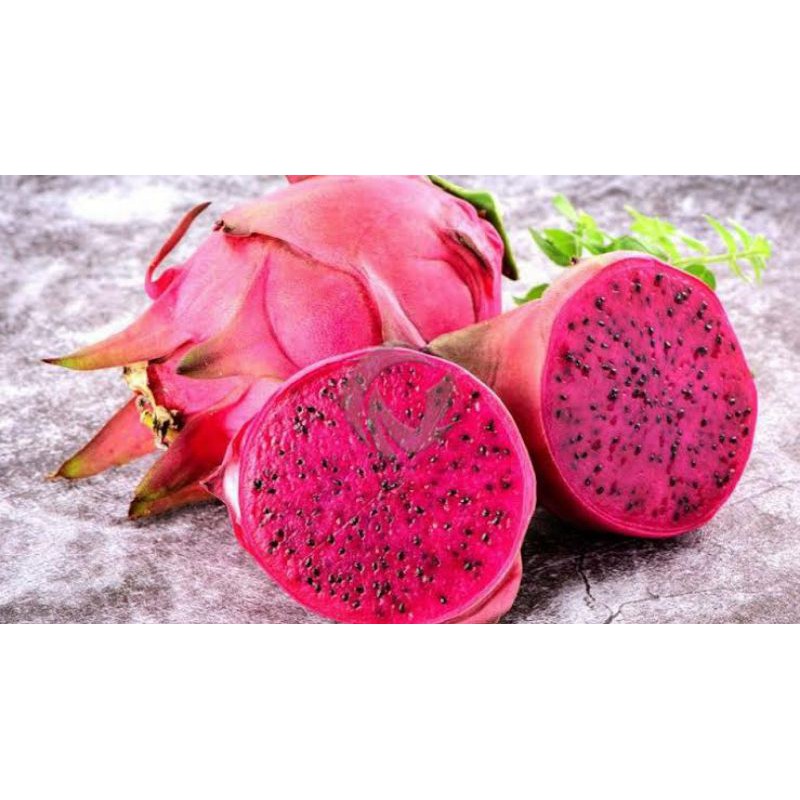 

buah naga merah grade A
