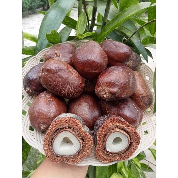 

Buah Zuriat Madinah 1kg