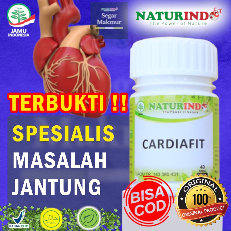 Cardiafit Naturindo Obat Herbal Jamu Herbal Akar Alangalang Buat Obat Jantung Kapsul Herbal Obat Sak