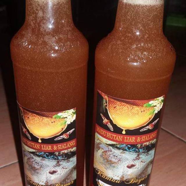 

Madu Asli Hutan Liar & Sialang ...