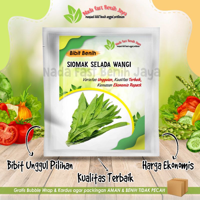500 biji Benih siomak selada wangi - bibit sayuran siomak