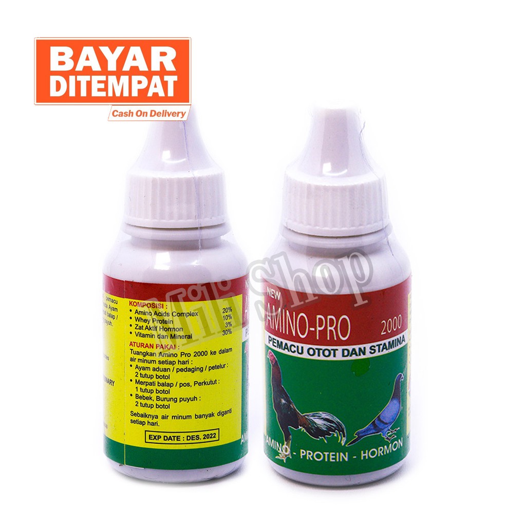 VITAMIN AYAM JAGO OBAT BURUNG DARA MERPATI - AMINO-PRO 2000