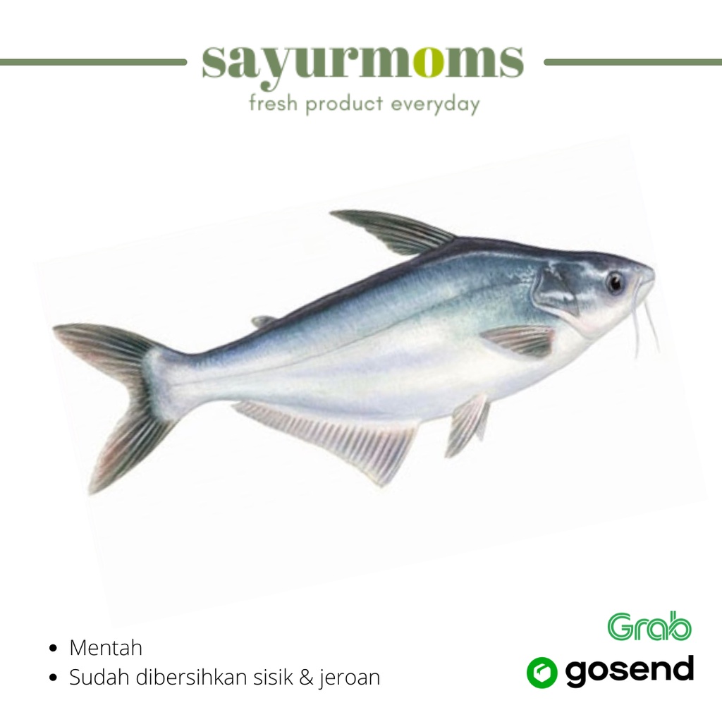 

Ikan Patin Bersih 1 kg