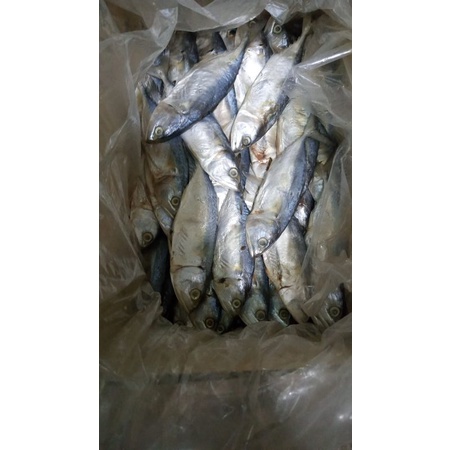 

IKAN ASIN PEDA 500G Rp. 30.999