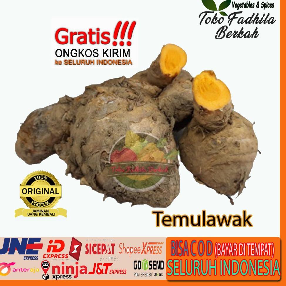 

（DIKIRIM DARI JAKARTA） temulawak termurah berat 1 KG | cheapest ginger weighs 1 KG