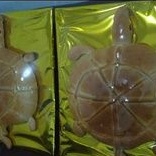 

roti kura-kura sepasang