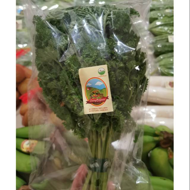 

Peterseli Paterseli Organik || Parsley || 100gr || Sayuran Organik Fresh