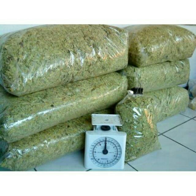 

TEH DAUN JATI CINA 250 GRAM PELANGSING ALAMI TERMURAH