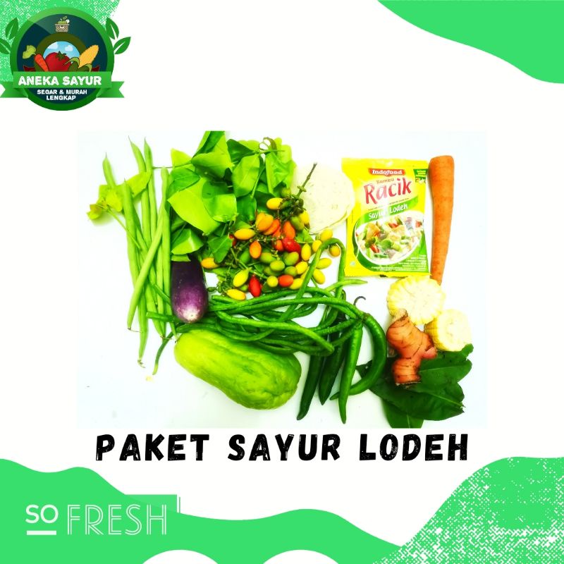 

Paket Sayur Lodeh Instant