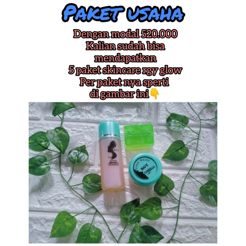 Paket usaha skincare rgy glow