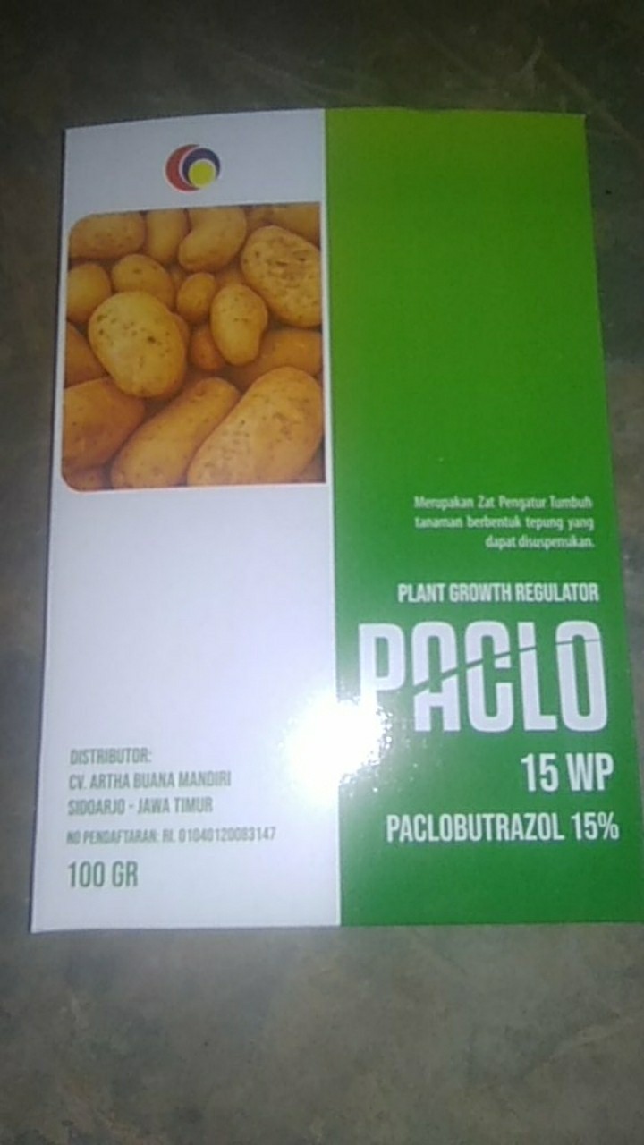 Zpt Paclobutrazol Paclo 15wp Perangsang Buah Bunga Diluar Musim Dan Pembesar Umbi Porang Kentang