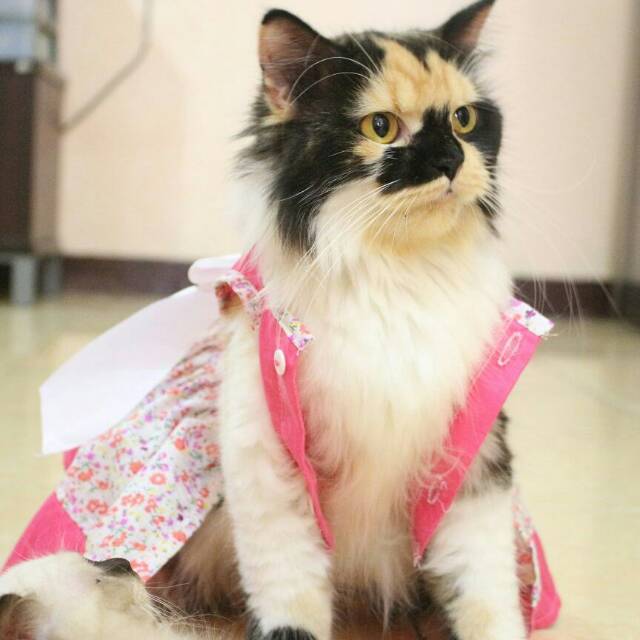 Dress princess motif bunga untuk kucing dan anjing / baju kucing imut / dress size S M L XL