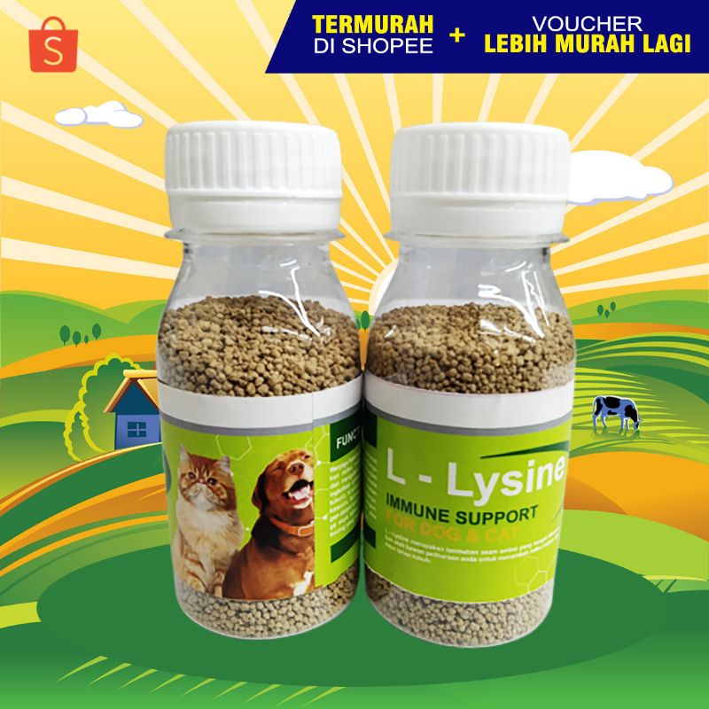 LYSINE BOTOL - Vitamin Penggemuk dan Bulu Kucing Penumbuh Bulu Kucing Pelebat Bulu Obat Bulu Rontok