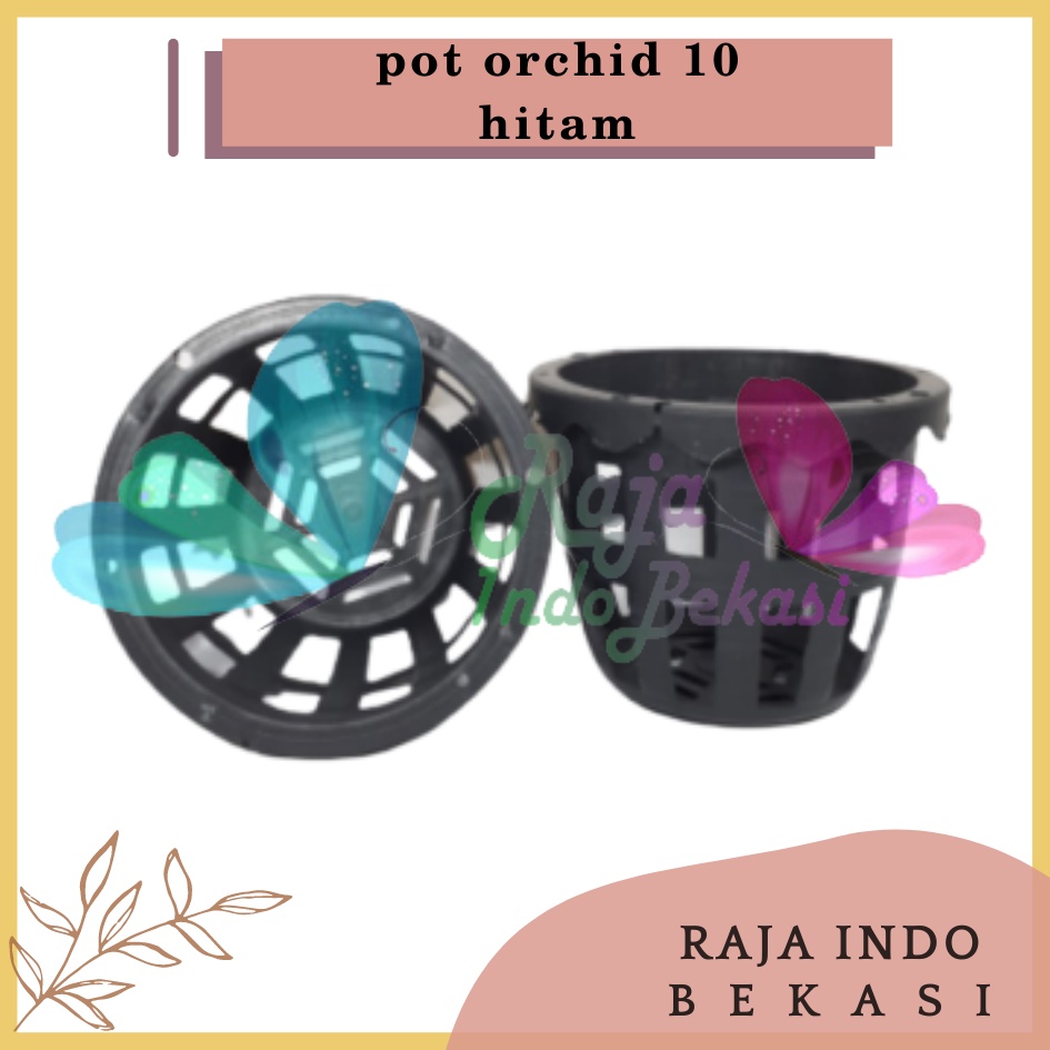 Pot Anggrek Orchid 10cm Pot Anggrek Plastik Orchid 10 Cm Murah / Pot Anggrek Sabut Kelapa Bulan Kayu