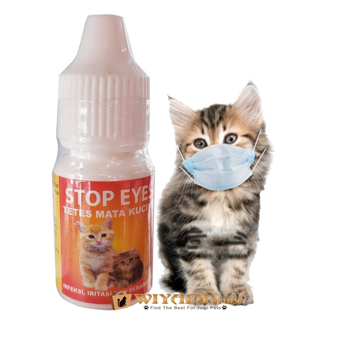 TERLARIS Stop Eyes Obat tetes Sakit Mata Merah Berair Belek Anak Kucing Kitten