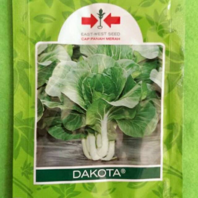 Benih Sawi Putih / Caisim Dakota Pack 25 Gram