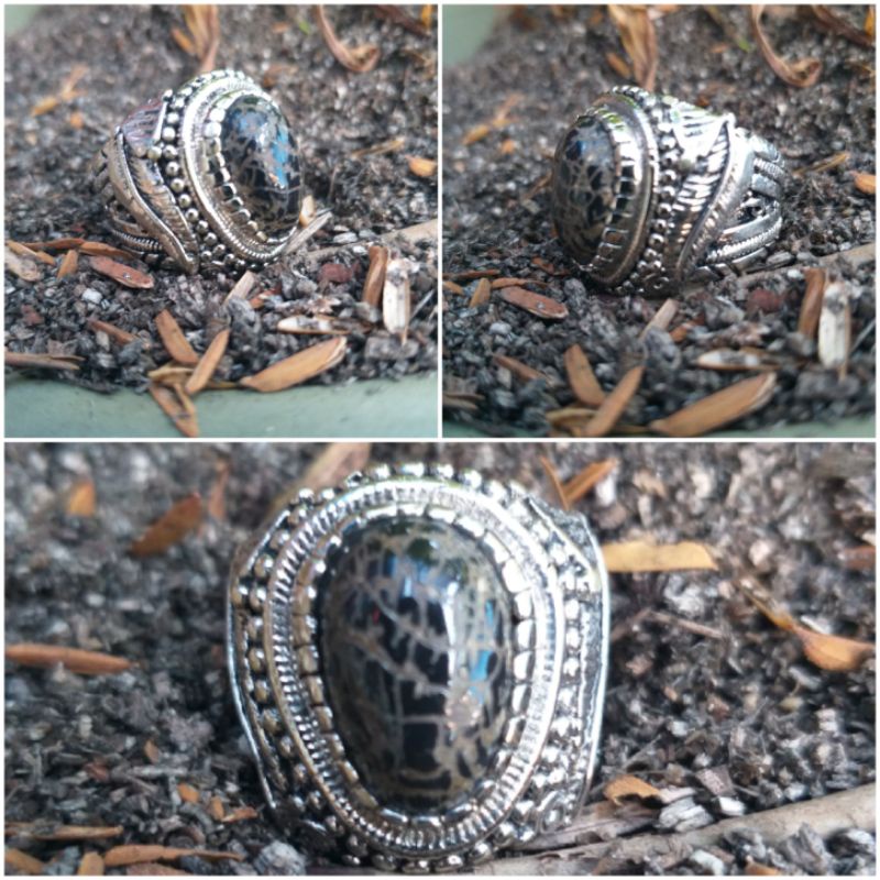 Pirus Hitam situbondo 3