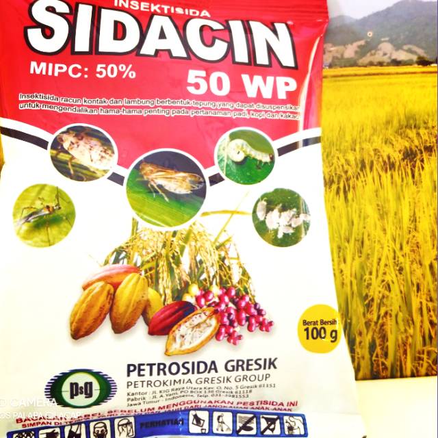 SIDACIN 50WP 100gr