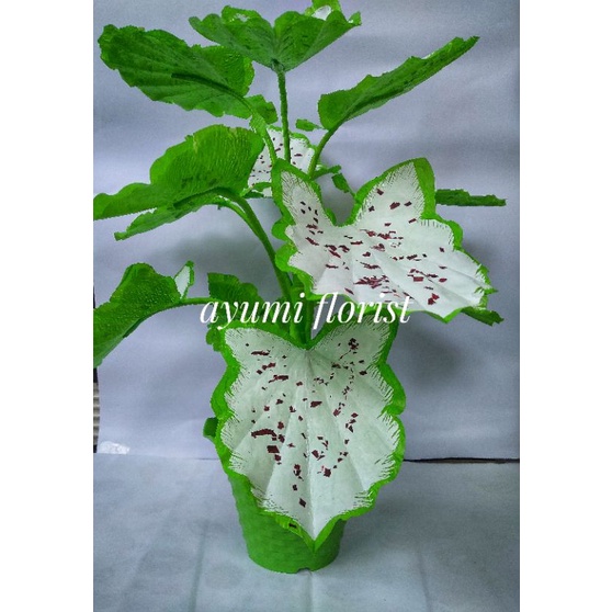 Bunga hias handmade keladi dari plastik kresek ukuran jumbo prakarya free pot