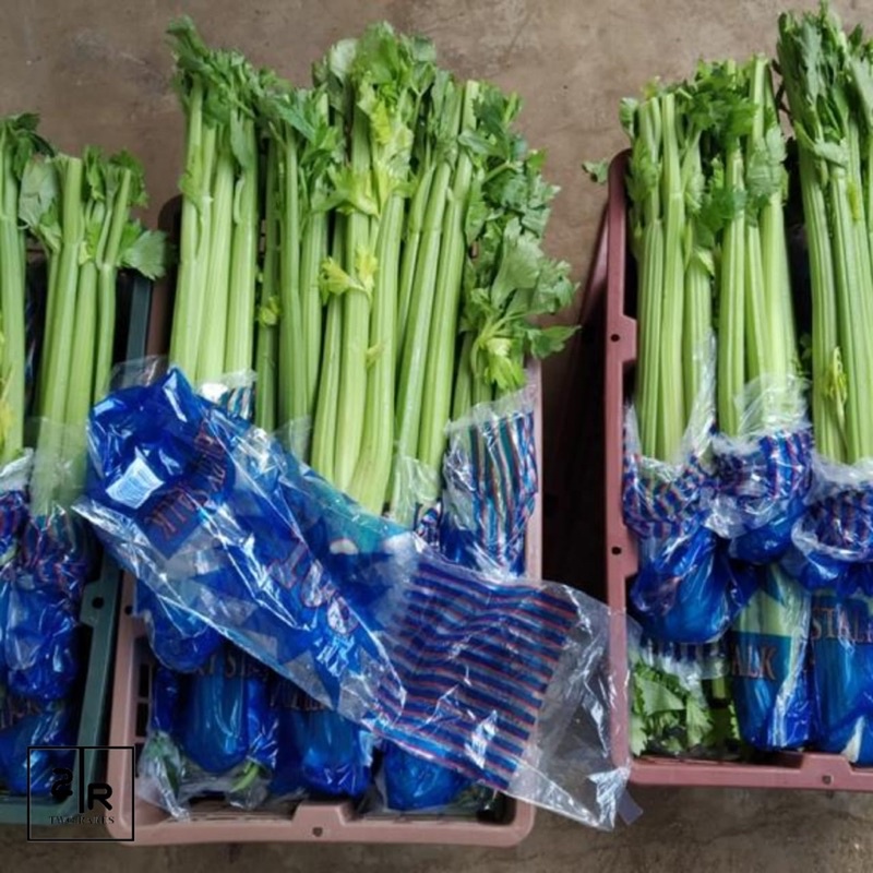 

Batang Seledri (Celery Stick) Segar 108 Impor 1 box isi 18 kg