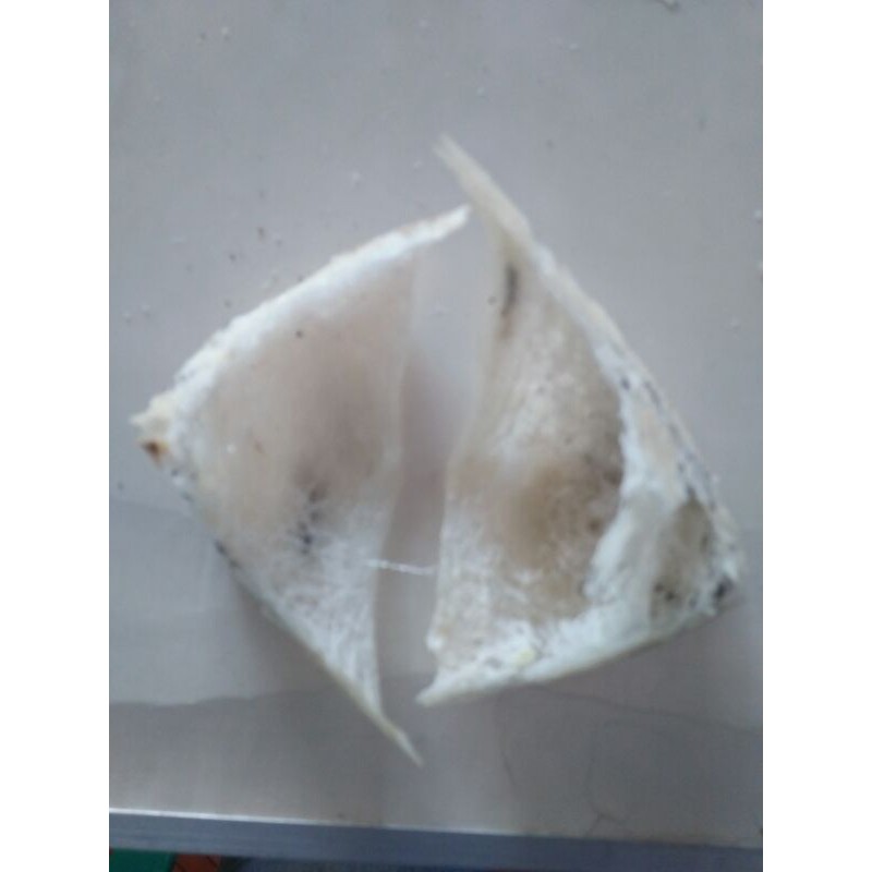 

SARANG WALET ASLI 100%