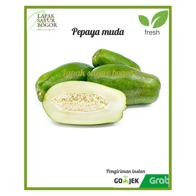 

pepaya muda sayur pepaya