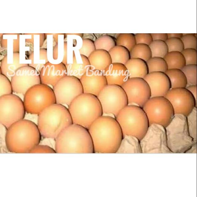 

Telur Segar, 1 kg