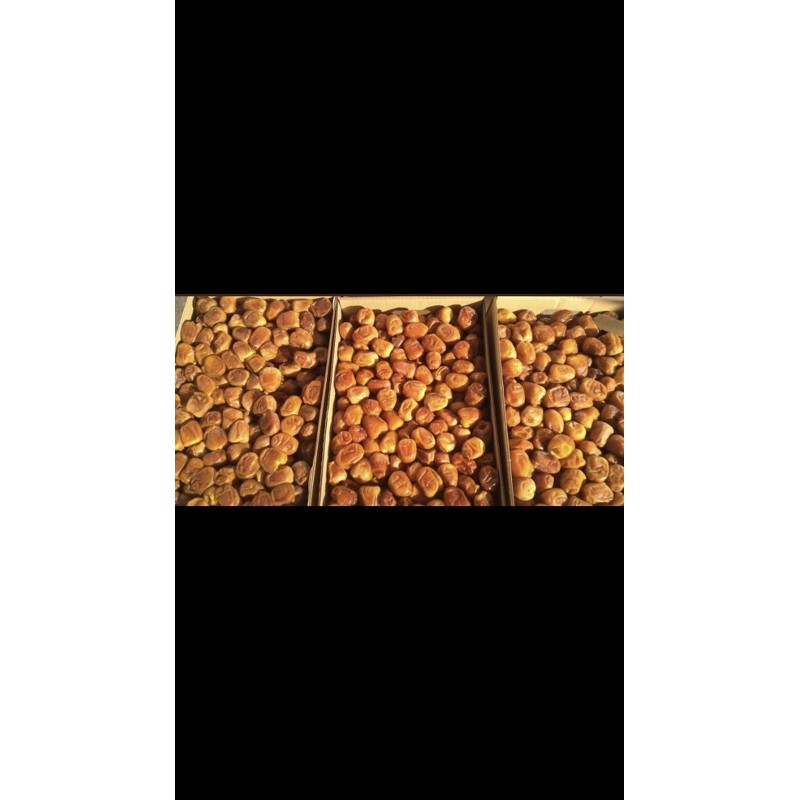 

Kurma sukkari