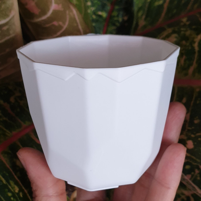 (6 pcs) POT PERMATA PUTIH 8cm pot bunga diamond pot kecil pot kaktus mungil cantik murah grosir