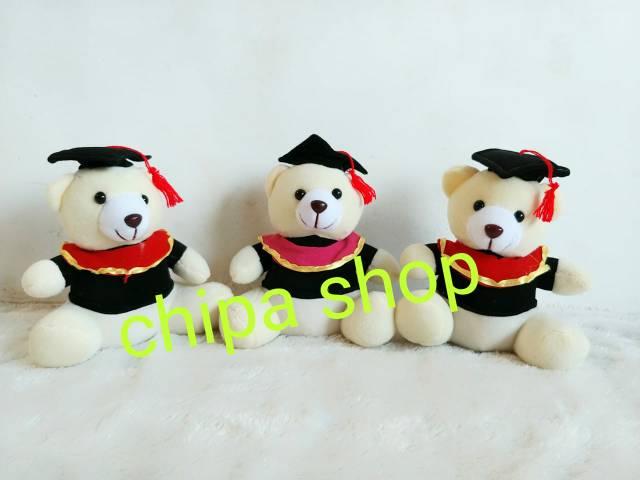 BEAR WISUDA 20 CM