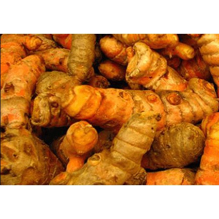 

[REMPAH] Kunyit / Koneng 100 GR