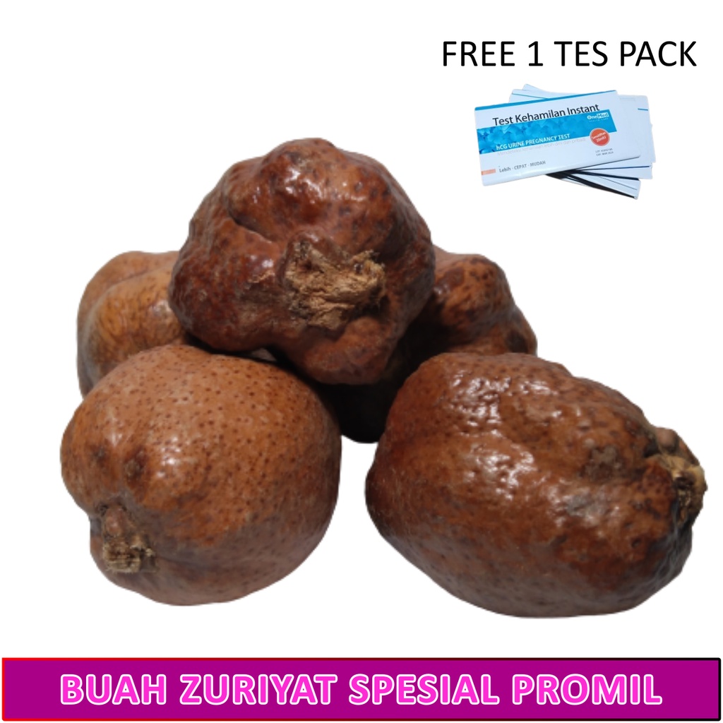 Buah Zuriyat Buah Zuriat Promil | Doum Fruit Promil | Promil Suami Istri