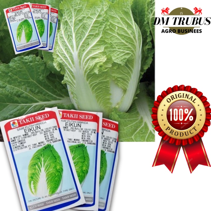 BENIH Sawi Putih Hibrida Eikun