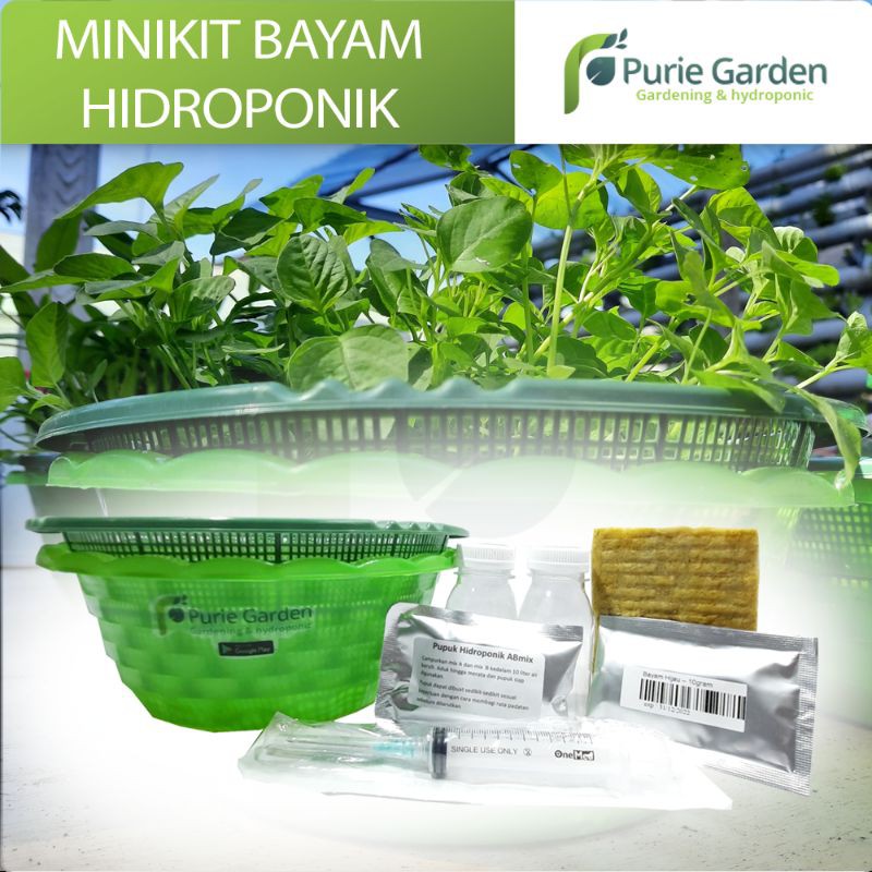 Hidroponik mini kit bayam purie garden